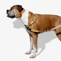 Zee.Dog Soft Walk Harness 17 Zee.Dog Soft Walk Harness -Heimtierbedarf Verkauf zeedog soft walk harness 200678 0500 none