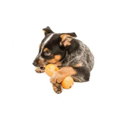 Zogoflex Qwizl -Heimtierbedarf Verkauf zogoflex qwizl 136852 0500 none